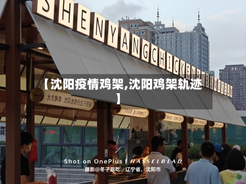 【沈阳疫情鸡架,沈阳鸡架轨迹】-第2张图片