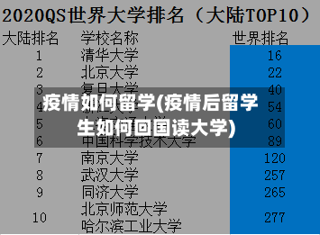 疫情如何留学(疫情后留学生如何回国读大学)-第2张图片