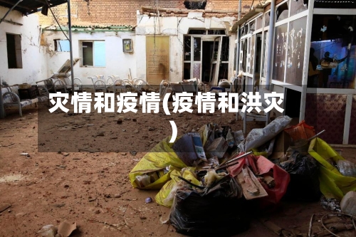 灾情和疫情(疫情和洪灾)