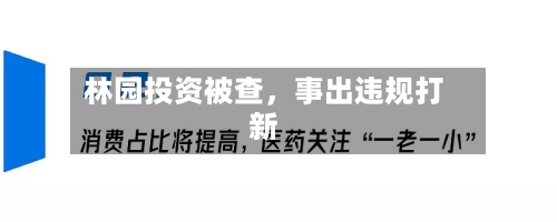 林园投资被查，事出违规打新