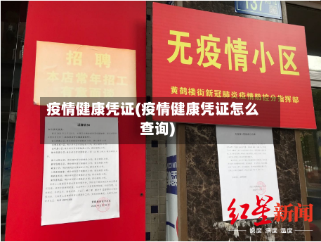 疫情健康凭证(疫情健康凭证怎么查询)-第2张图片