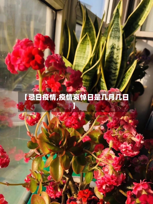 【忌日疫情,疫情哀悼日是几月几日】