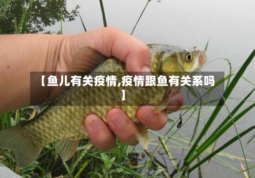 【鱼儿有关疫情,疫情跟鱼有关系吗】-第3张图片