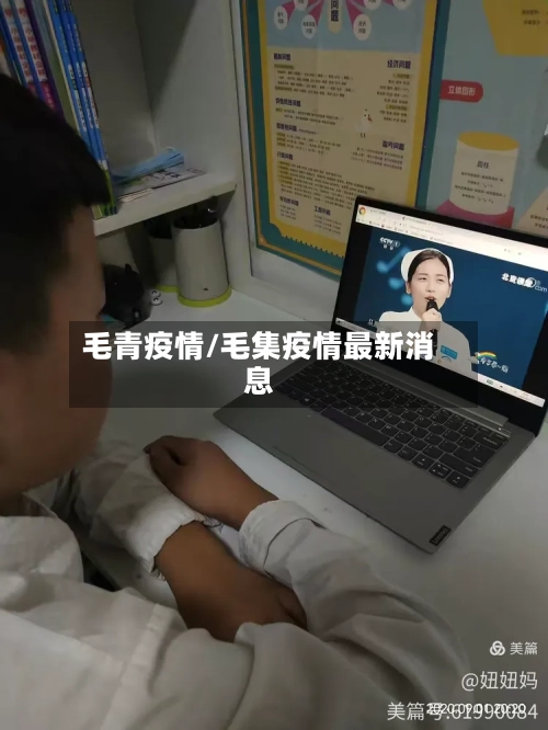 毛青疫情/毛集疫情最新消息-第2张图片