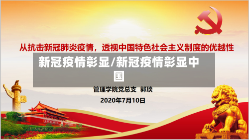 新冠疫情彰显/新冠疫情彰显中国