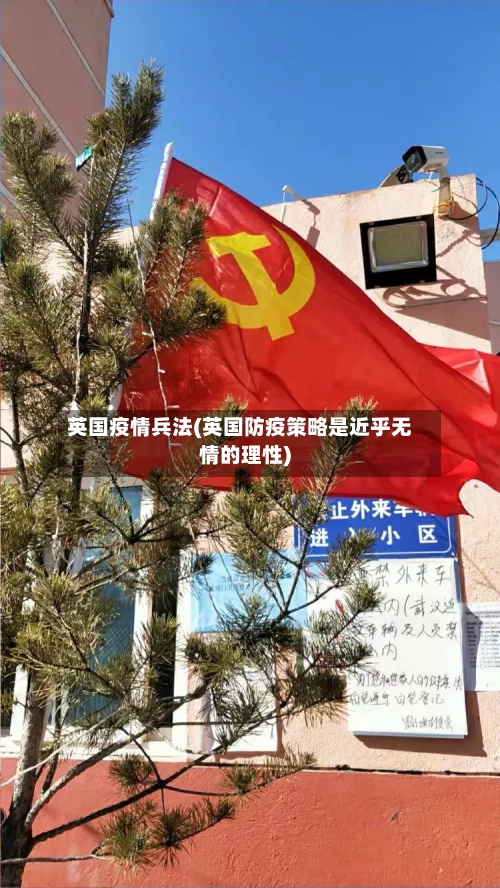 英国疫情兵法(英国防疫策略是近乎无情的理性)