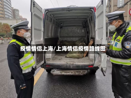 疫情情侣上海/上海情侣疫情路线图-第2张图片