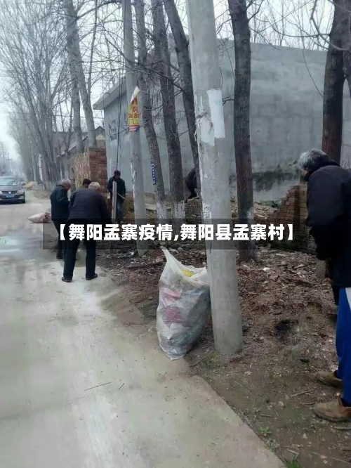 【舞阳孟寨疫情,舞阳县孟寨村】