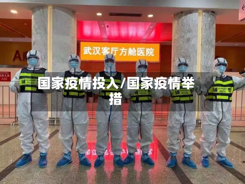 国家疫情投入/国家疫情举措