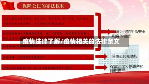 疫情法律了解/疫情相关的法律条文