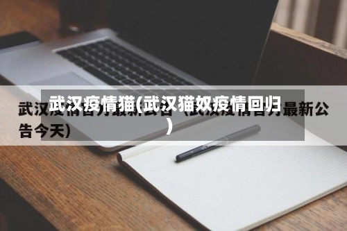 武汉疫情猫(武汉猫奴疫情回归)