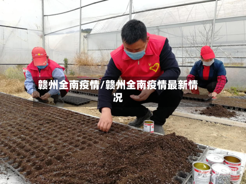 赣州全南疫情/赣州全南疫情最新情况-第2张图片