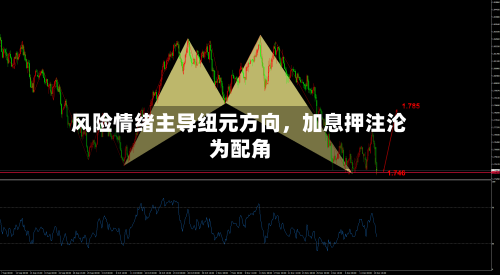 风险情绪主导纽元方向	，加息押注沦为配角-第2张图片