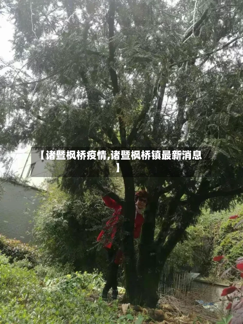 【诸暨枫桥疫情,诸暨枫桥镇最新消息】-第2张图片