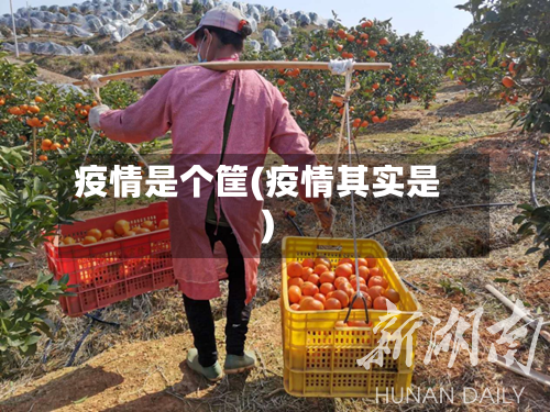 疫情是个筐(疫情其实是)-第3张图片