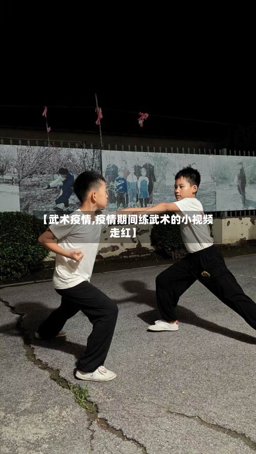 【武术疫情,疫情期间练武术的小视频走红】