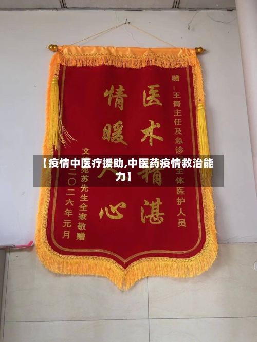 【疫情中医疗援助,中医药疫情救治能力】
